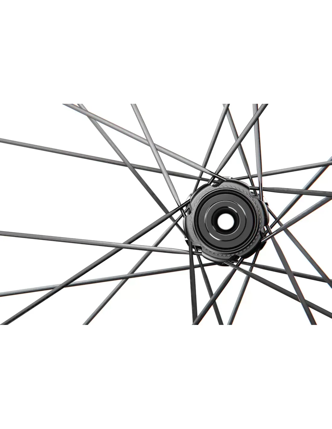 DT Swiss A 1800 Spline 30 Disc HG11 body